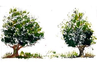 Between Two Trees