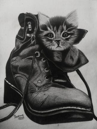 A cat inside a boot