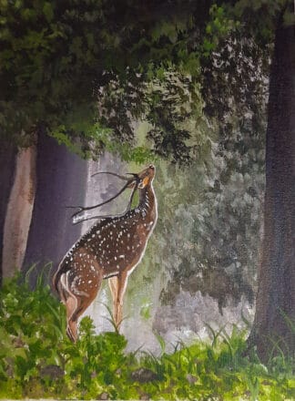 Deer painting on Canvas