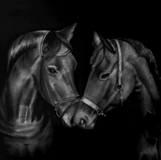 Affectioninist